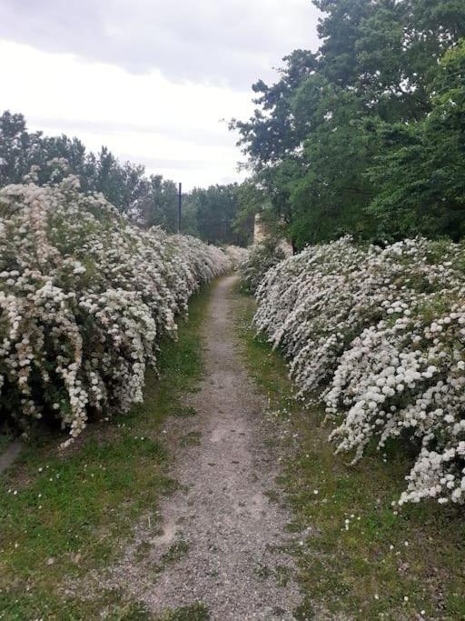 Dalla Rossa Montelupo Fiorentino Eksteriør billede